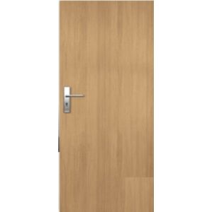 Vchodové dveře Naturel Entry levé 90 cm jilm ENTRYJ90L