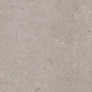 Dlažba Pastorelli Biophilic grey 120x120 cm mat P009411