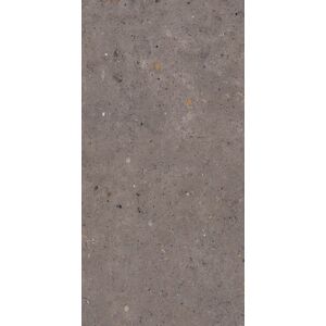 Dlažba Pastorelli Biophilic dark grey 60x120 cm mat P009416