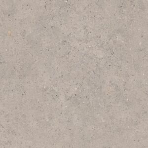 Dlažba Pastorelli Biophilic grey 60x60 cm mat P009496