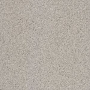 Dlažba Rako Taurus Granit šedá 60x60 cm mat TAK63076.1